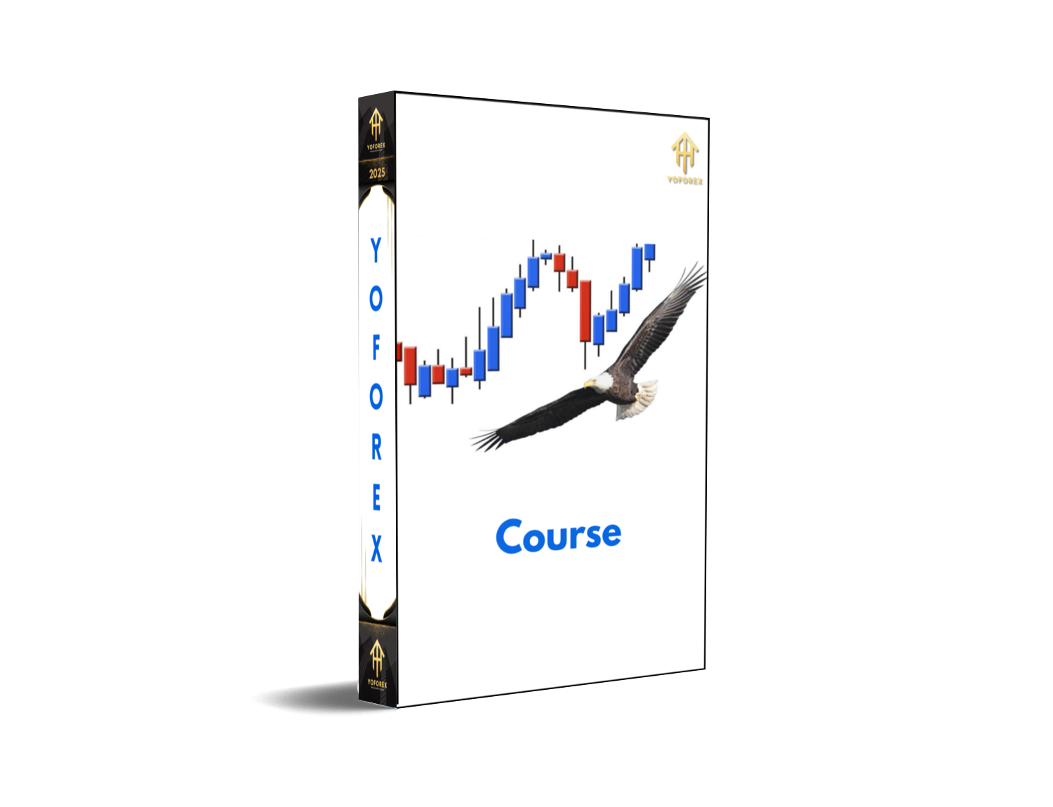 Scalping Trading Top 5 Strategies Course