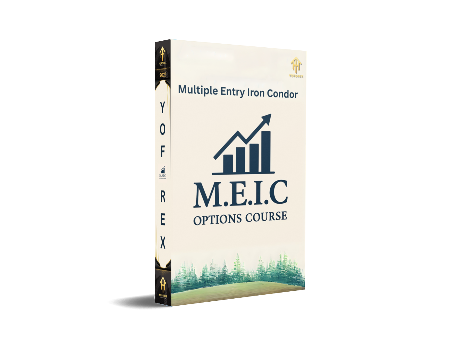 M.E.I.C Options Course